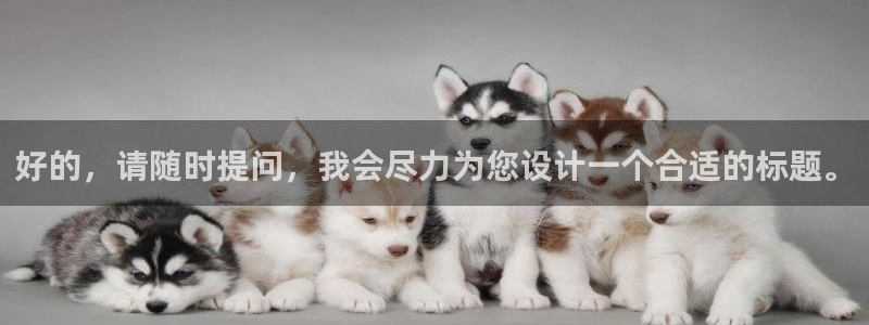 道德倫理視頻：好的，請隨時提問，我會盡力為您設計一個合適的標題。
