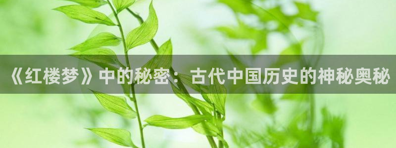 秋霞在線倫理影視：《紅樓夢》中的秘密：古代中國歷史的神秘奧秘