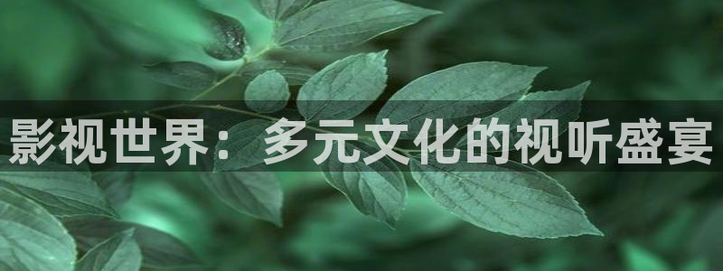 高清倫理視頻網站
